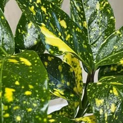 Front Page -Garden Care Sale 00002104 3