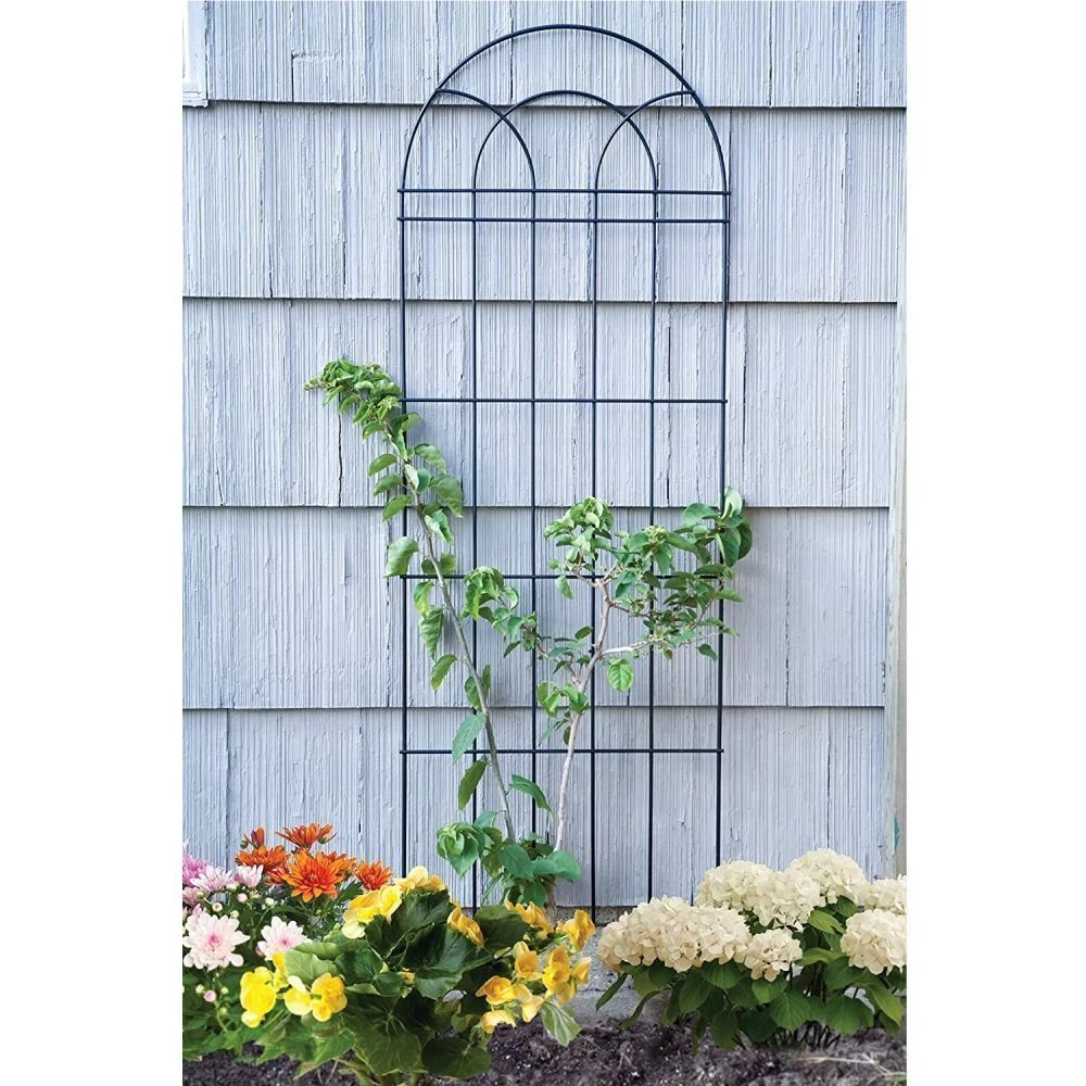 Panacea 182cm Black Trellis 3 Panacea 182cm Black Trellis - Image 2