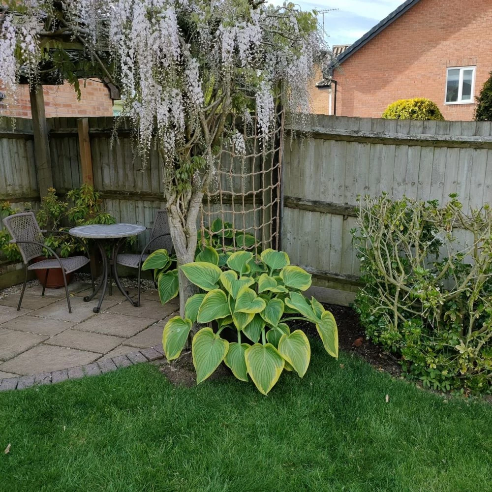 The Good Life 1.2 X 1.8m Natural Jute Rope Trellis 4 The Good Life 1.2 X 1.8m Natural Jute Rope Trellis - Image 2