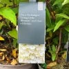 Hydrangea Paniculata 'Little Blossom' 5Ltr Pot 1 Hydrangea Paniculata 'Little Blossom' 5Ltr Pot -Garden Care Sale 5019945247536