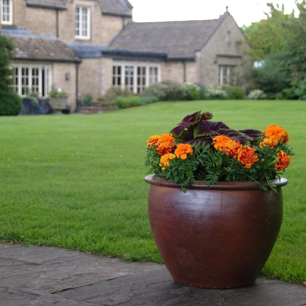 Woodlodge 40cm Thai Salt Glazed Pot 4 Woodlodge 40cm Thai Salt Glazed Pot - Image 2