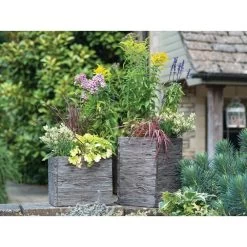 Woodlodge 25cm Square Driftwood Planter 6 Woodlodge 25cm Square Driftwood Planter -Garden Care Sale 5021346406528 2