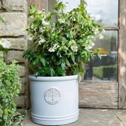 Woodlodge 38cm White / Cream Glazed Heritage Cylinder Pot -Garden Care Sale 5021346424430