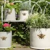 Woodlodge 36cm Wisteria Bee Cylinder Planter 2 Woodlodge 36cm Wisteria Bee Cylinder Planter -Garden Care Sale 5021346427103 fc6da6c1 b0d2 4bcf b384 7b6ce5ac5412