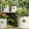 Woodlodge 29cm Wisteria Bee Cylinder Planter -Garden Care Sale 5021346427110 fa3cfc22 6889 45d8 b39f c047370bf042