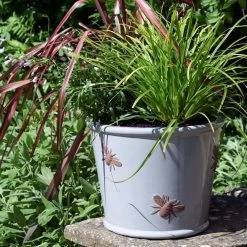 Woodlodge 38cm Cream Bee Planter -Garden Care Sale 5021346434545 2