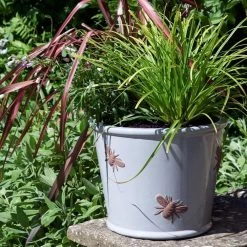 Woodlodge 38cm Grey Bee Planter 6 Woodlodge 38cm Grey Bee Planter -Garden Care Sale 5021346434583 2