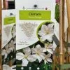 Clematis 'Prince George' Climber 3Ltr Pot -Garden Care Sale 5025338009568