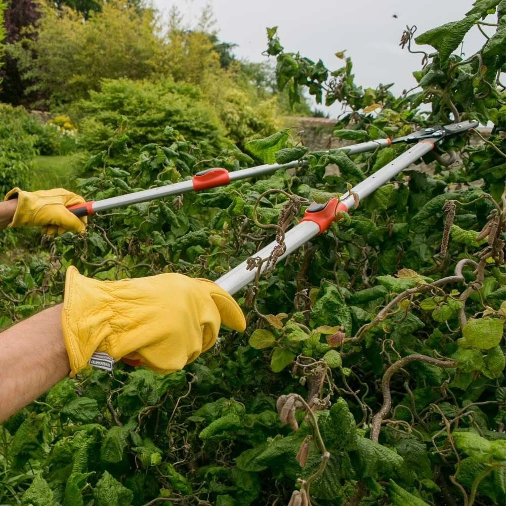 Wilkinson Sword Telescopic Anvil Loppers 4 Wilkinson Sword Telescopic Anvil Loppers - Image 2