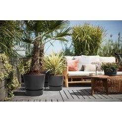 Elho 30cm Living Black Greenville Round Planter -Garden Care Sale 8711904332358 4