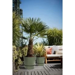 Elho 25cm Leaf Green Greenville Round Planter -Garden Care Sale 8711904332433 4