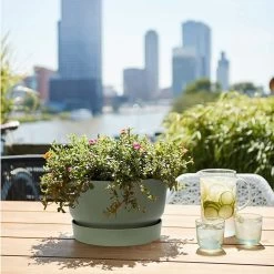 Elho 33cm Leaf Green Greenville Bowl Planter -Garden Care Sale 8711904332464 4