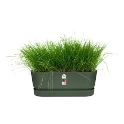 Elho 70cm Living Concrete Greenville Trough Long -Garden Care Sale 8711904357764 4