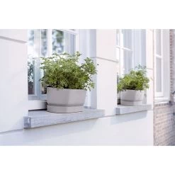Elho 50cm Living Concrete Greenvillle Long Trough Planter 10 Elho 50cm Living Concrete Greenvillle Long Trough Planter -Garden Care Sale 8711904358440 4