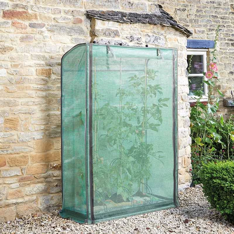 Smart Garden Tomato Grow Zone 5 Smart Garden Tomato Grow Zone - Image 3